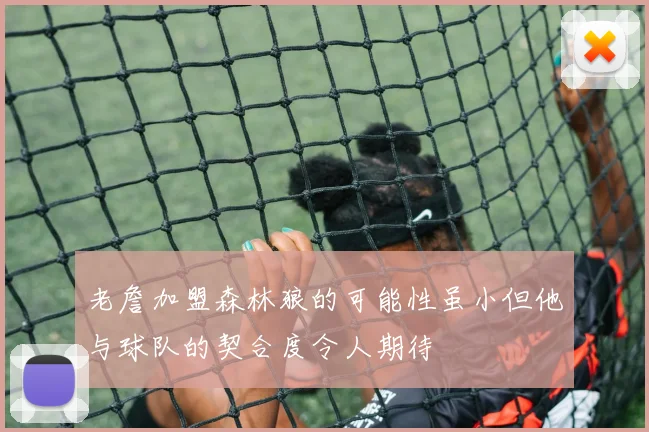 老詹加盟森林狼的可能性虽小但他与球队的契合度令人期待