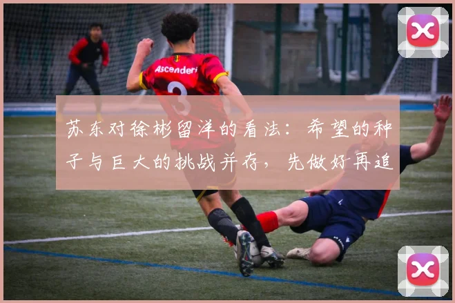 苏东对徐彬留洋的看法：希望的种子与巨大的挑战并存，先做好再追求完美